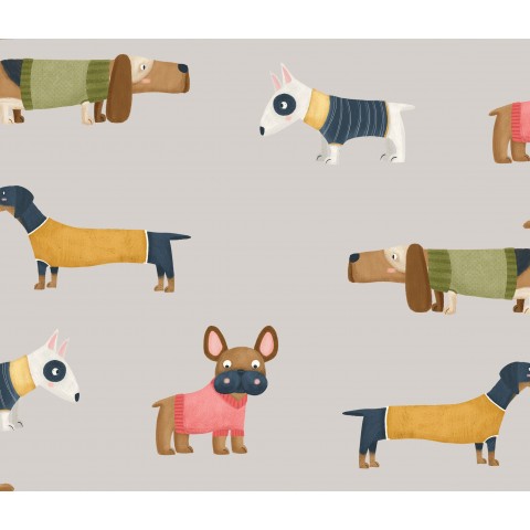 Dogs with clothes