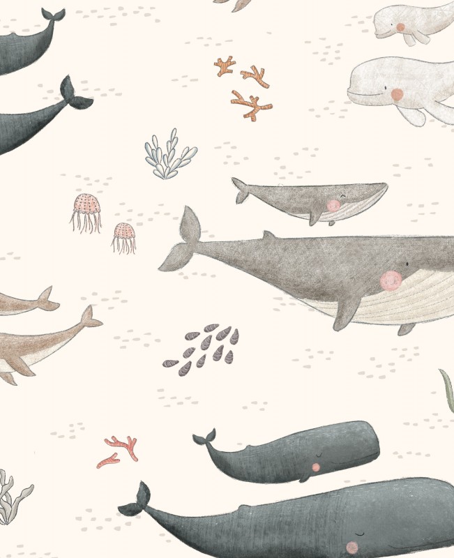 Espèces de baleines
