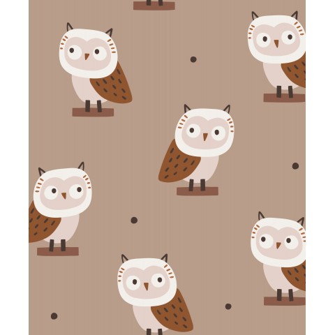 Owls 1