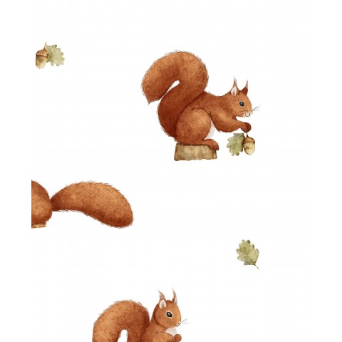 squirrels - white