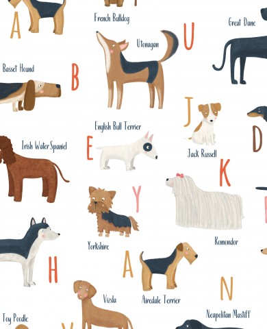 Alphabet des chiens