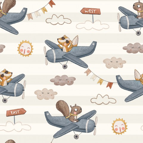 Samolot wiewiórki i lisa