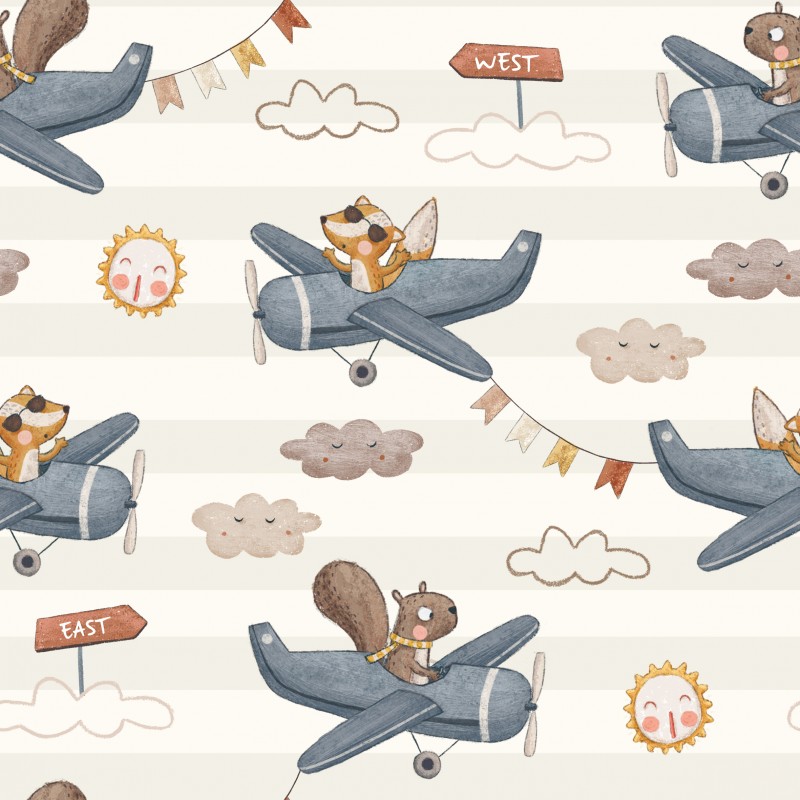 Samolot wiewiórki i lisa