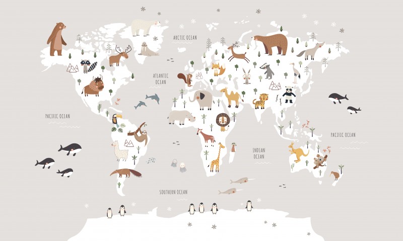 Szary panel mapy świata