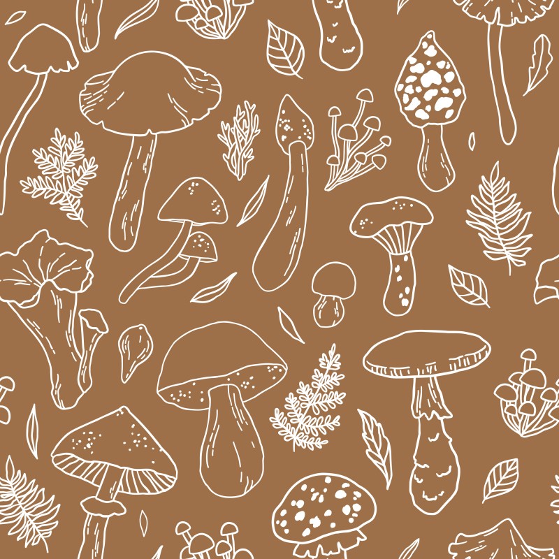 Lesní houby
