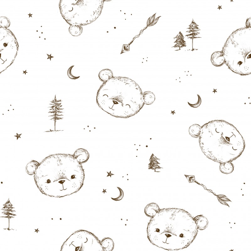 Sketchy Bears