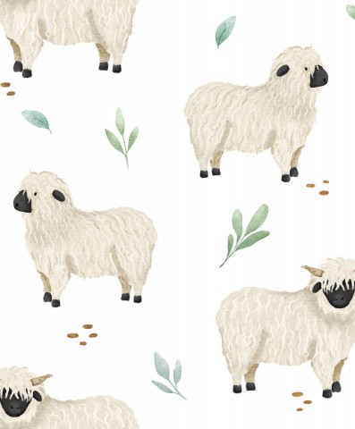 Niedliche Schafe auf Weiß