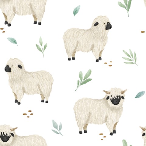 Niedliche Schafe auf Weiß