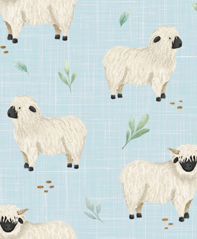Roztomilé ovce na modré